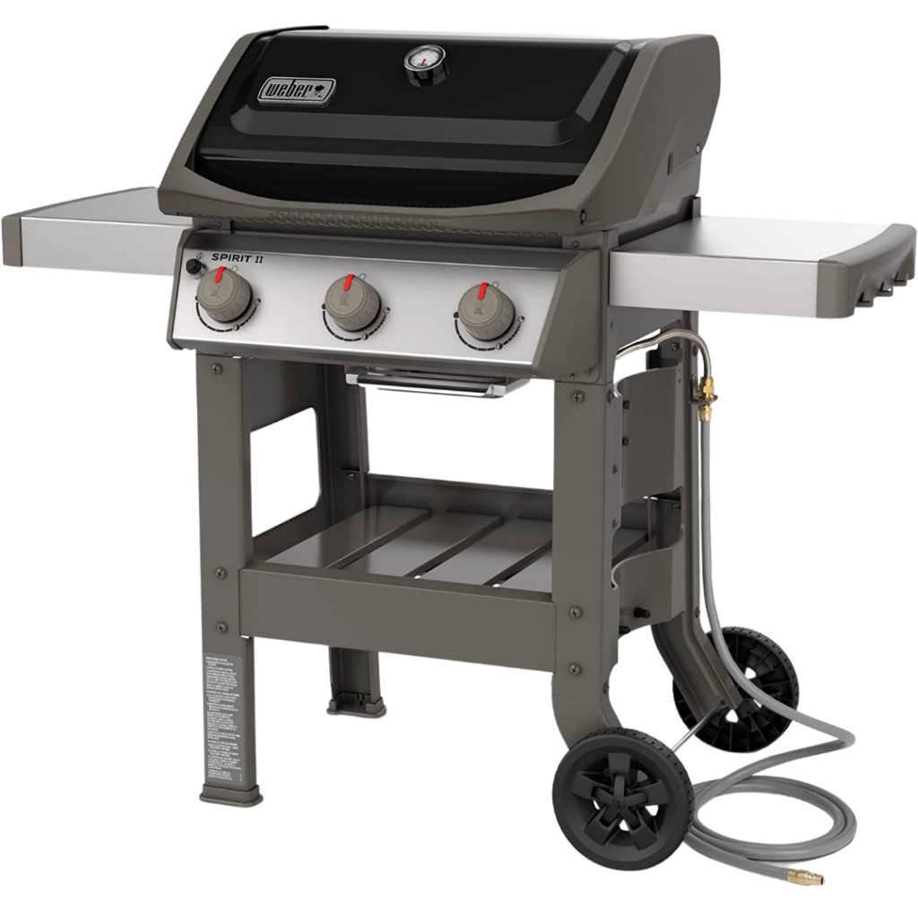 Gas Grill Reviews 2025