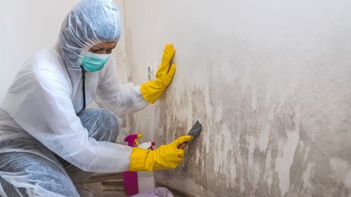 Cleaning, Mold, Indoor, Home