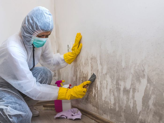 Cleaning, Mold, Indoor, Home