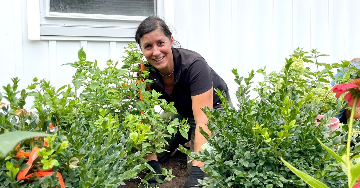 S21 E21, Jenn Nawada plants a full sun garden
