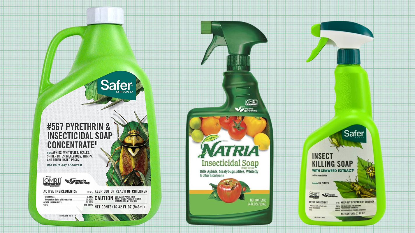 Best Insecticidal Soap guide - lead image, showing Safer Brand Insecticidal Soap and Pyrethrin Concentrate, Natria Insecticidal Soap, and Safer Brand Insect Killing Soap with Seaweed Extract against a green graph paper background.