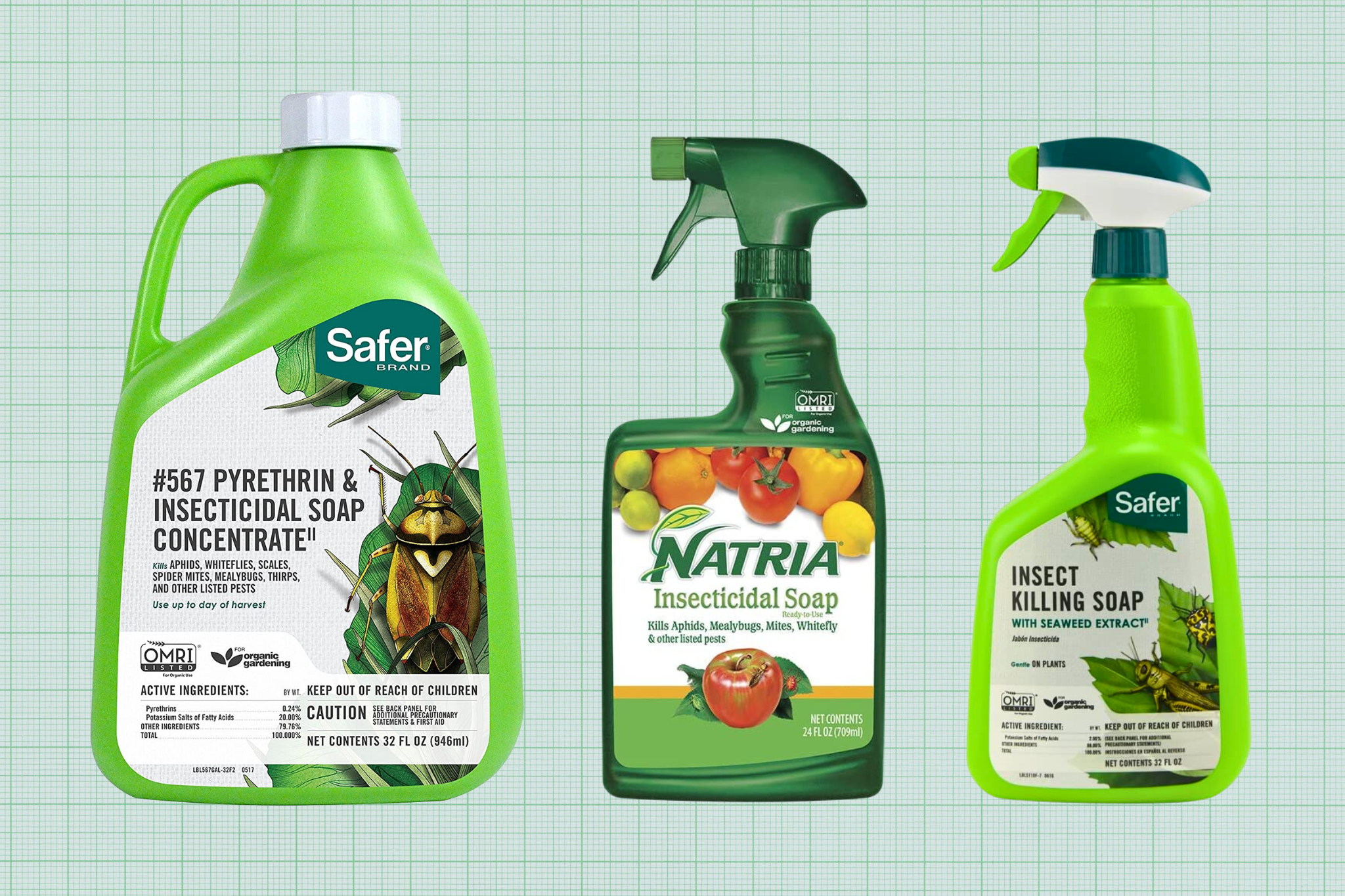 Best Insecticidal Soap guide - lead image, showing Safer Brand Insecticidal Soap and Pyrethrin Concentrate, Natria Insecticidal Soap, and Safer Brand Insect Killing Soap with Seaweed Extract against a green graph paper background.