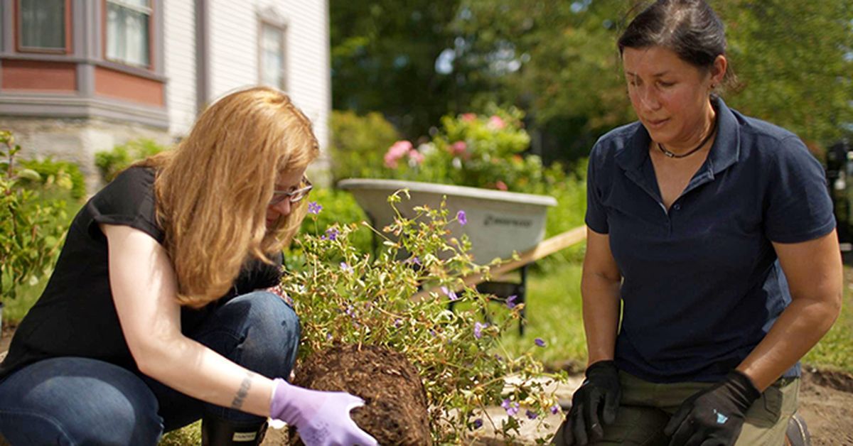 Two people preparing a high traffic landscape