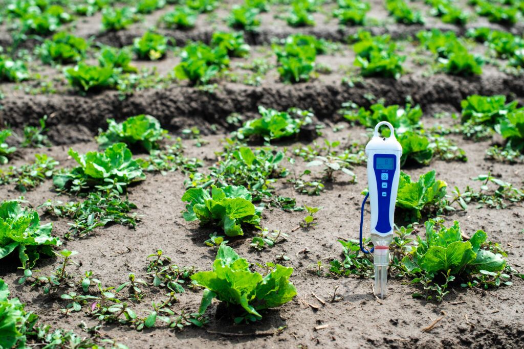 PH meter digital device pricked in the soil.