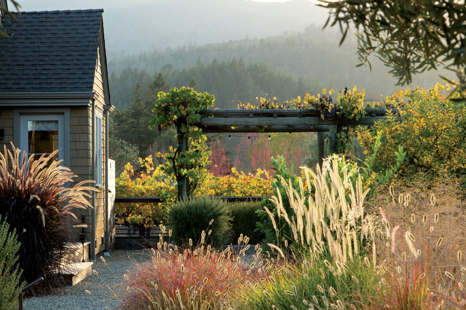 Front of house with arbor and ornamental grasses