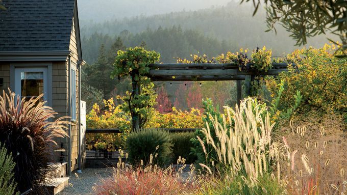 Front of house with arbor and ornamental grasses