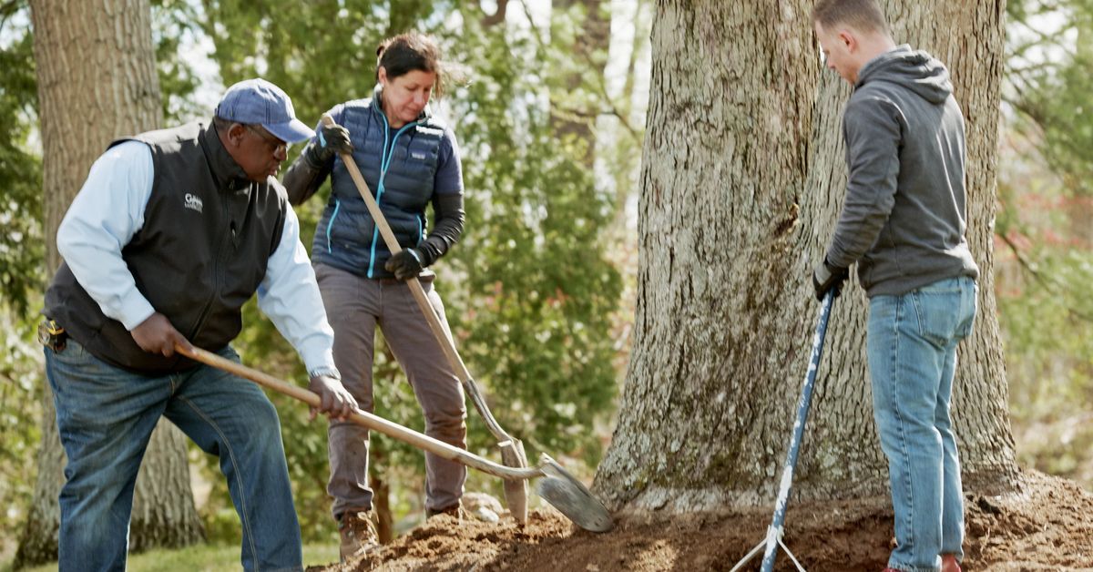 S22 E3: Lee Gilliam and Jenn Nawada help a homeowner with a sloped front yard