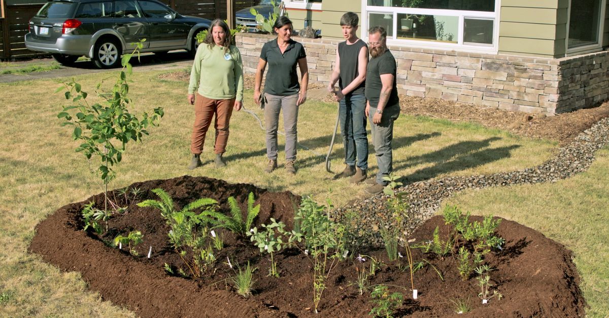 S22 E7: Jann Nawada creates a rain garden