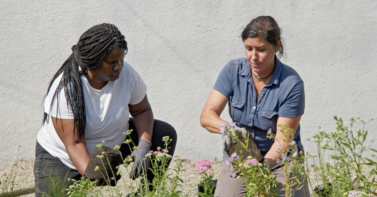 S22 E16: Jenn Nawada helps renovate and firescape a front yard