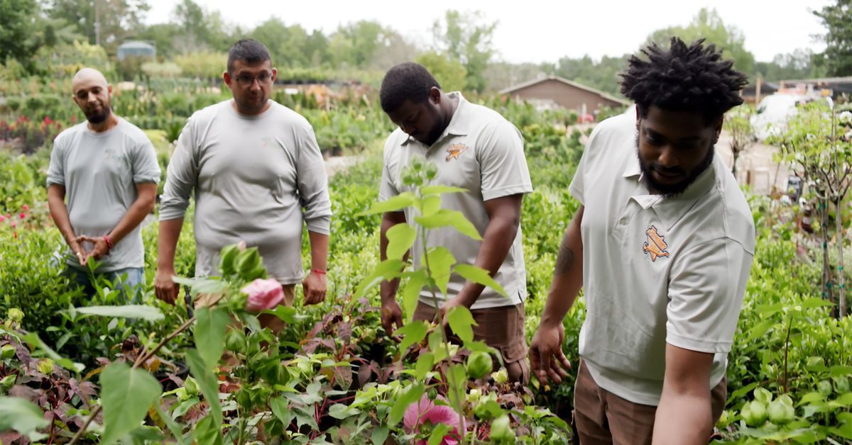 S22 E17: landscapers Donald Jordan and David Jones