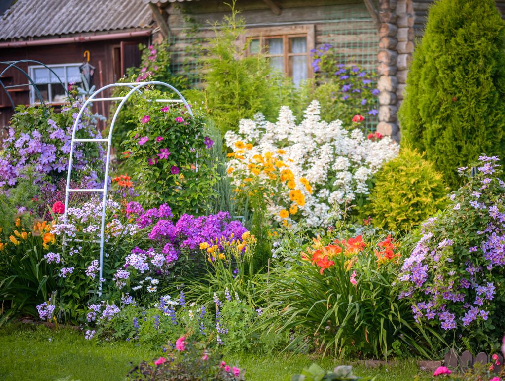 An image of layered privacy plantings.