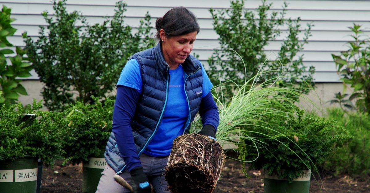 S22 E21: Jenn Nawada plants a garden bed