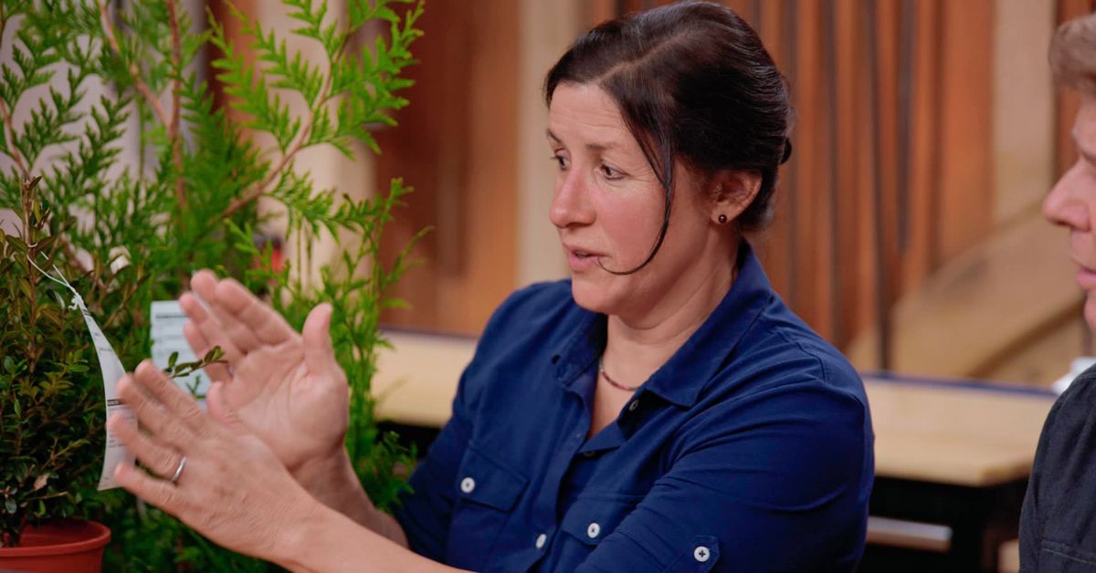 Jenn Nawada explains plant hardiness zone map.