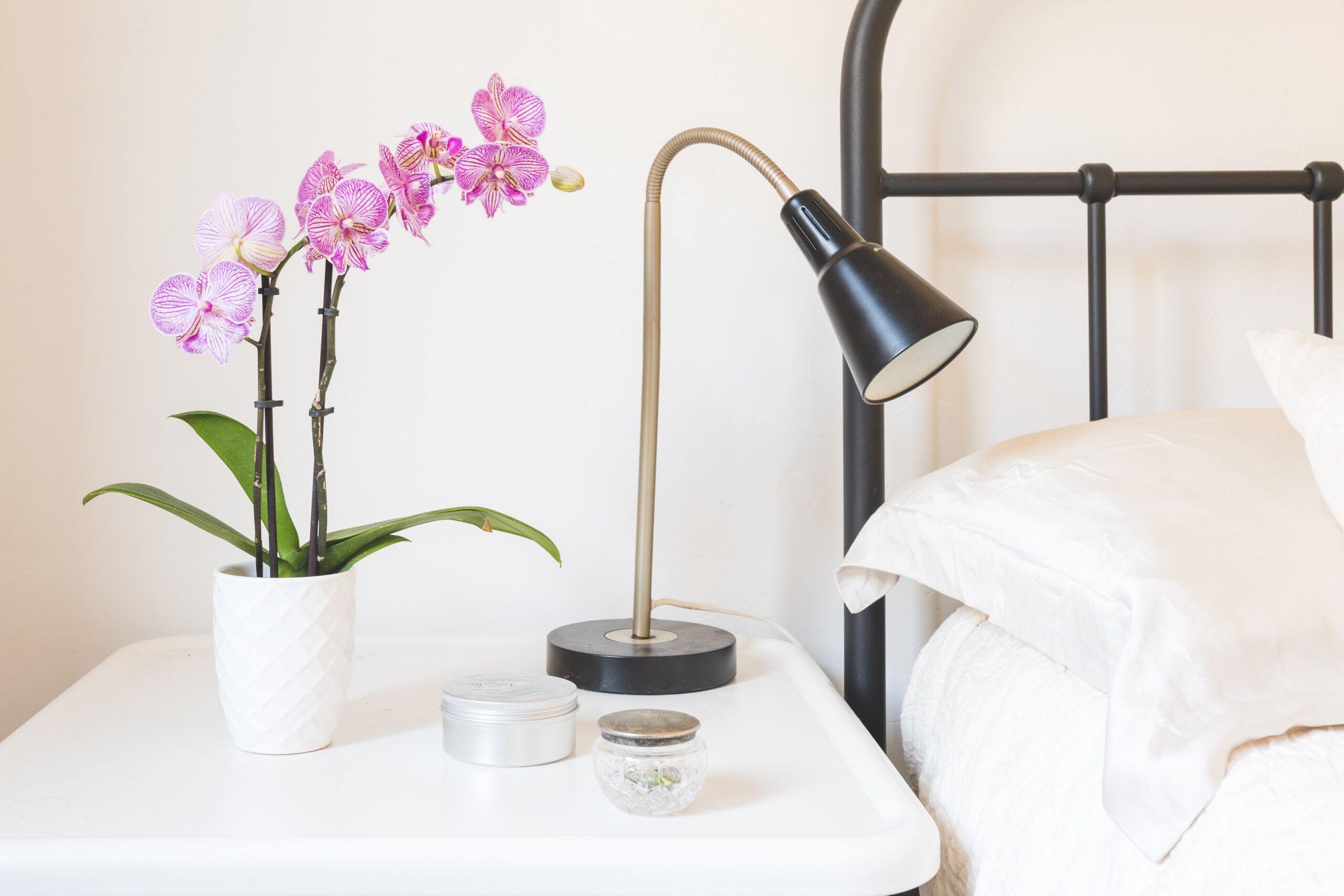 Pink orchid on a bedside table