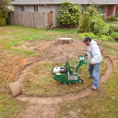 A person is operating a sod cutter to remove a circular section of grass inside an area marked with spray paint, indicating where the rain garden will go.