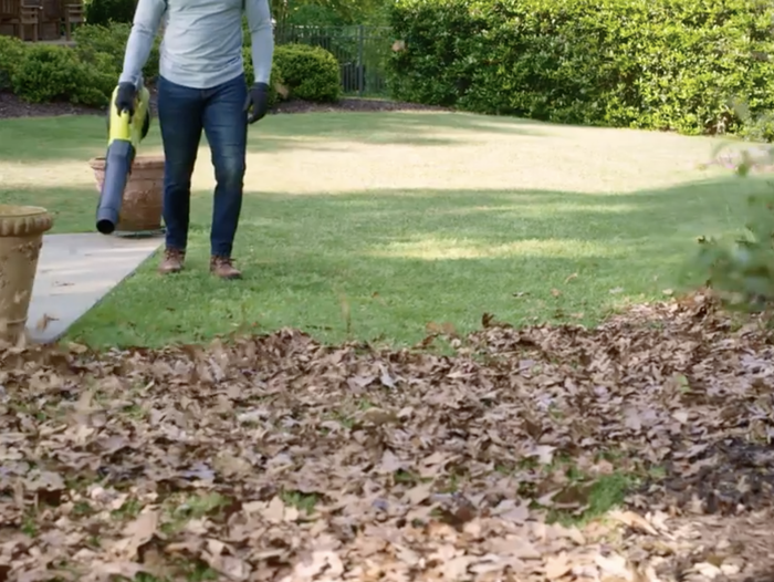 Fall leaves blown with leaf blower