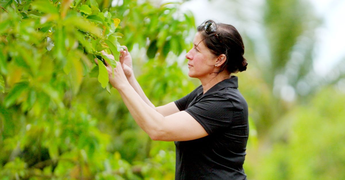 S23 E3: Jenn Nawada walks through a Florida citrus grove