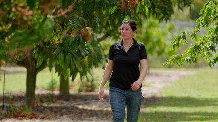 S23 E3: Jenn Nawada visits an orange grove