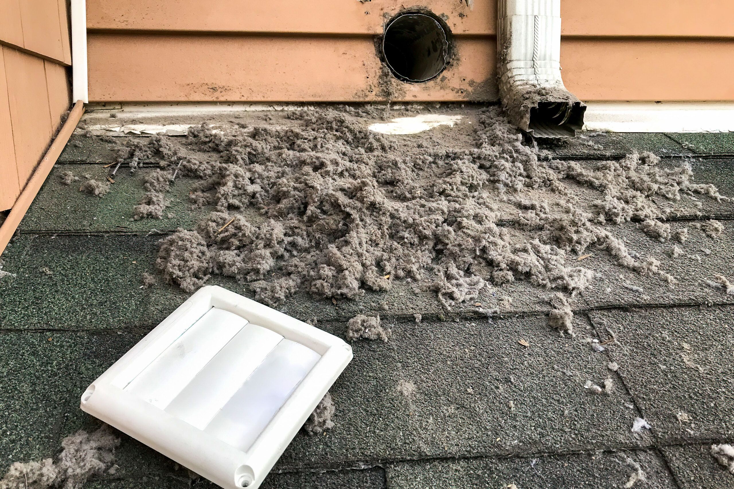 Lint caught behind a dryer vent