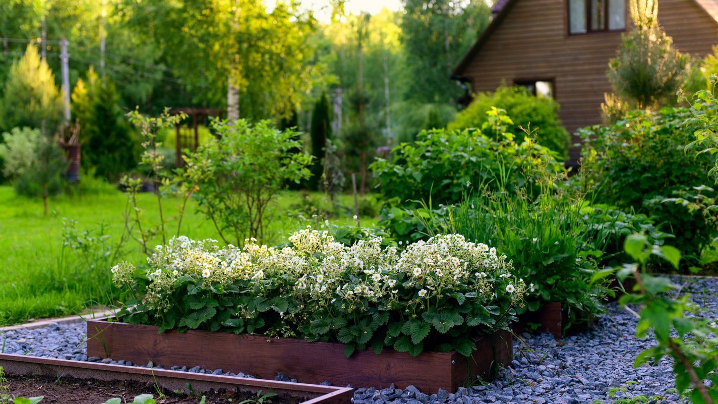 Backyard with raised garden area