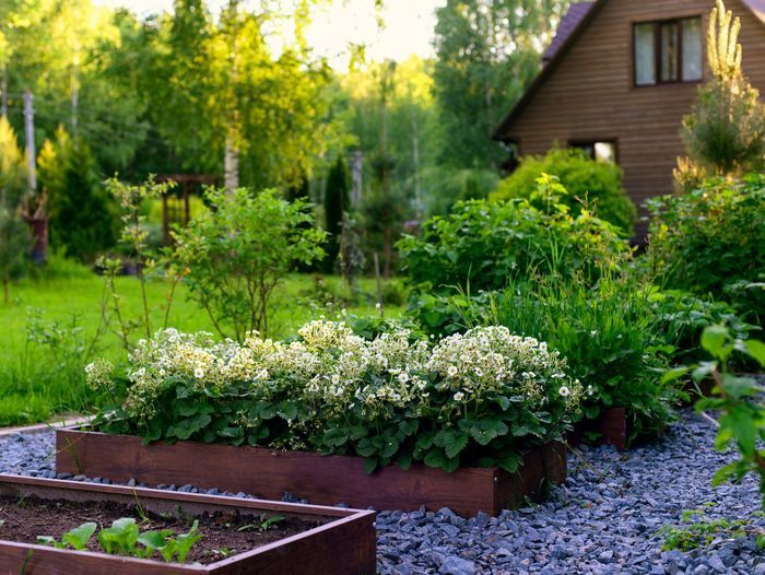 Backyard with raised garden area