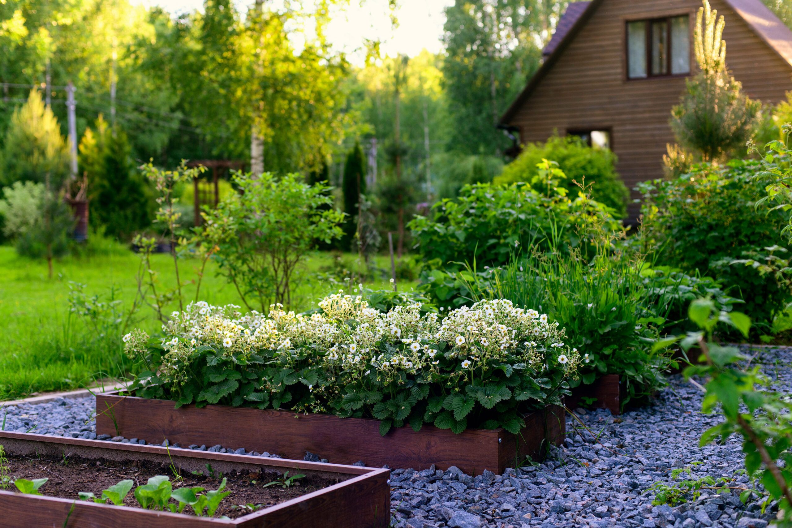 Backyard with raised garden area