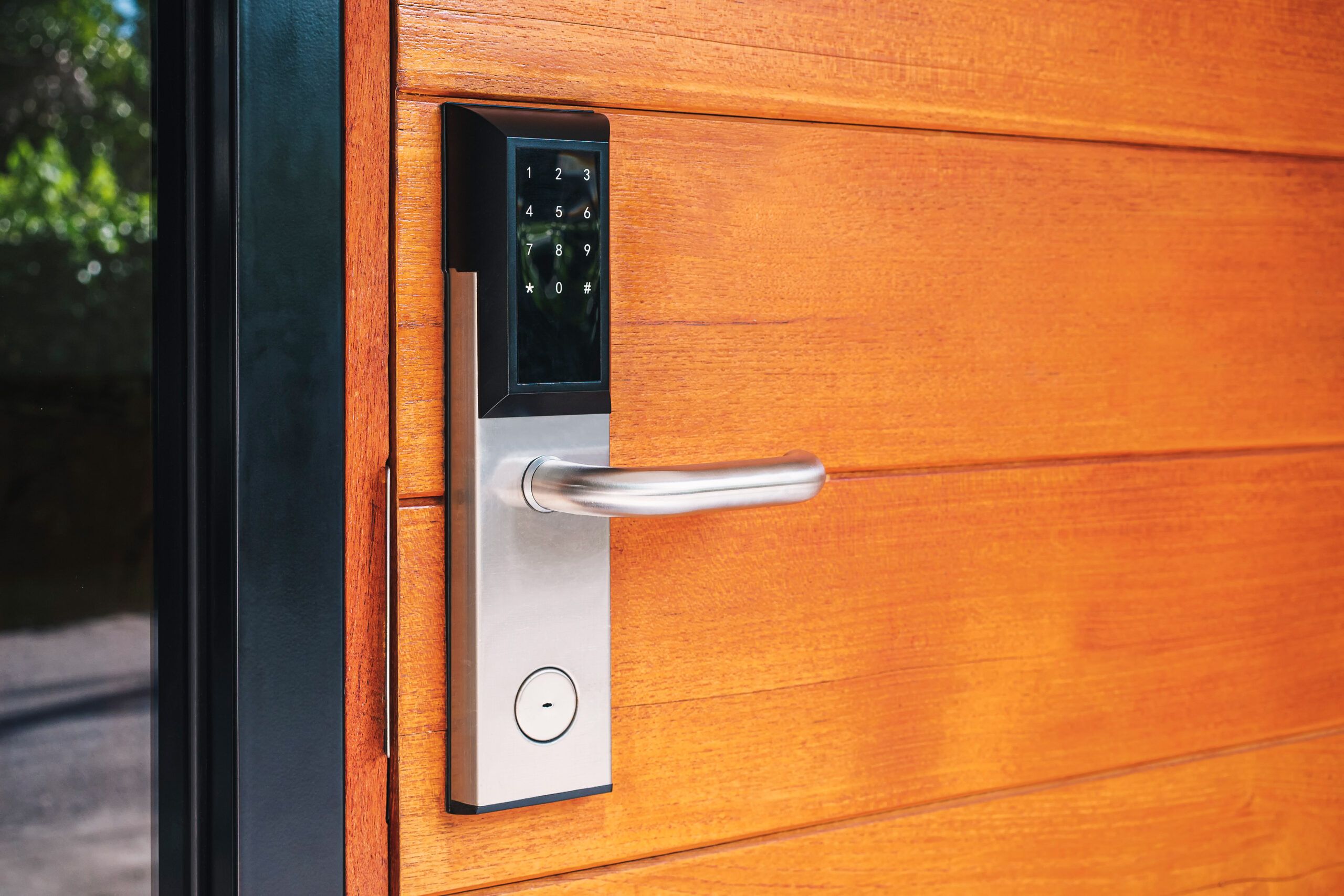 Front door with electric door lock