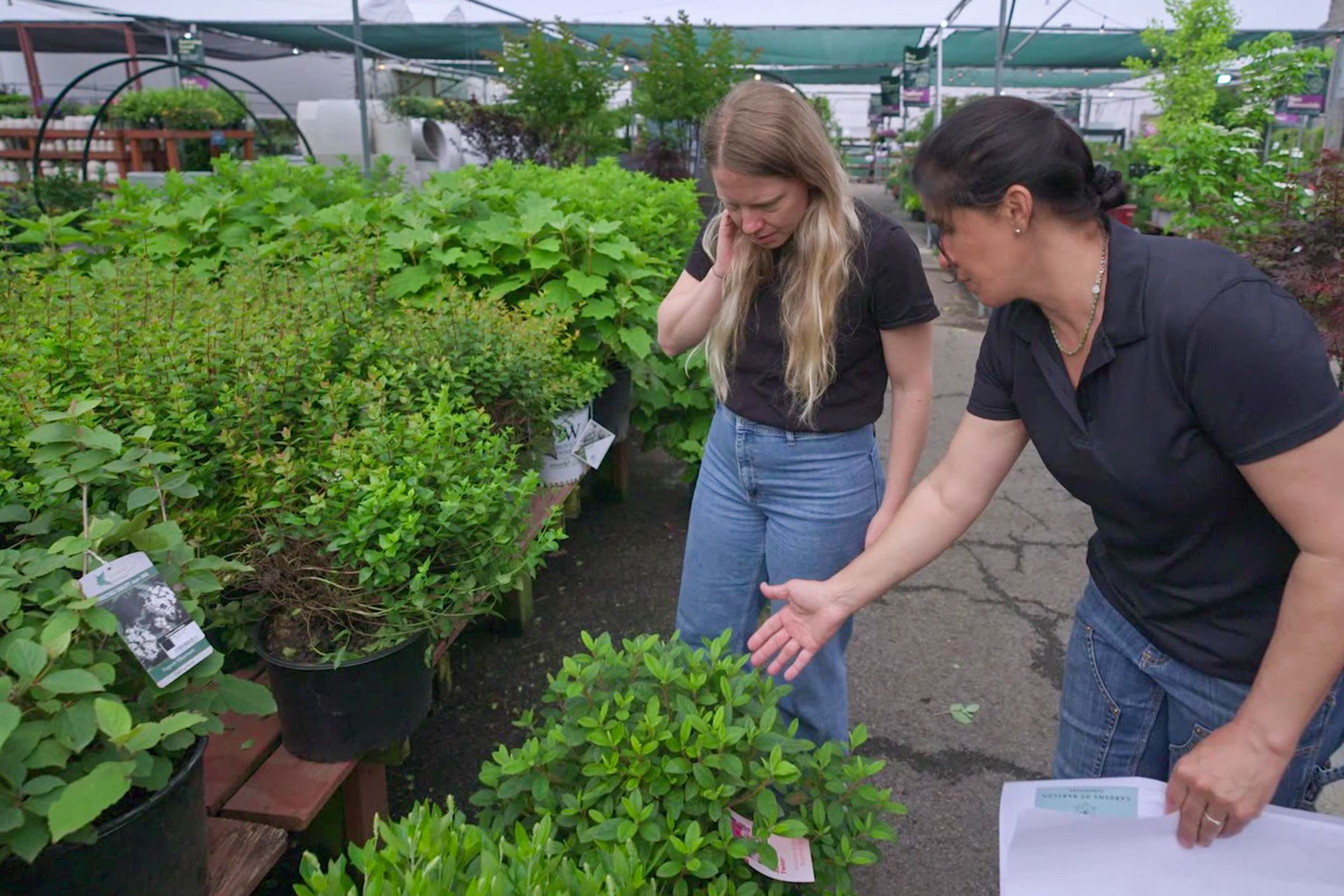 Homeowner Rachel and TOH landscape contractor Jenn Nawada choose plants for the front of the house.