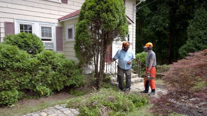 S23 E10: Lee Gilliam removes some arborvitae