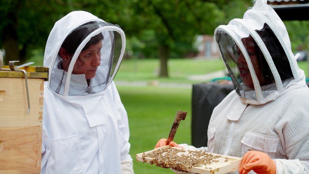 S23 E13: Jenn Nawada learns about maintaining a beehive