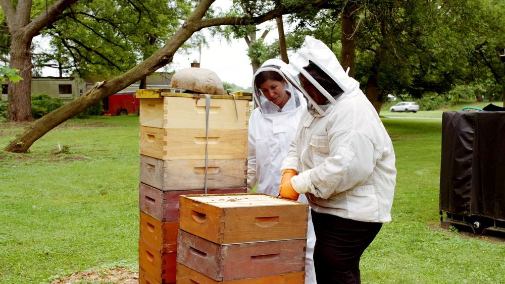 S23 E13: Jenn Nawada learn about beekeeping