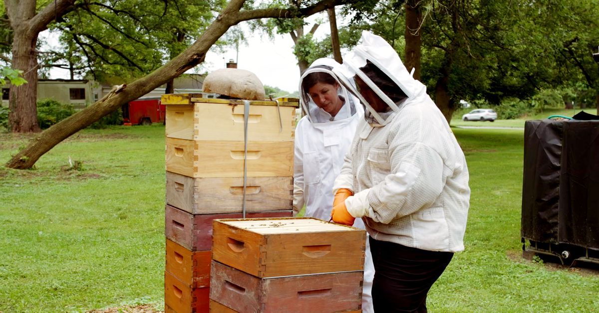 S23 E13: Jenn Nawada learn about beekeeping