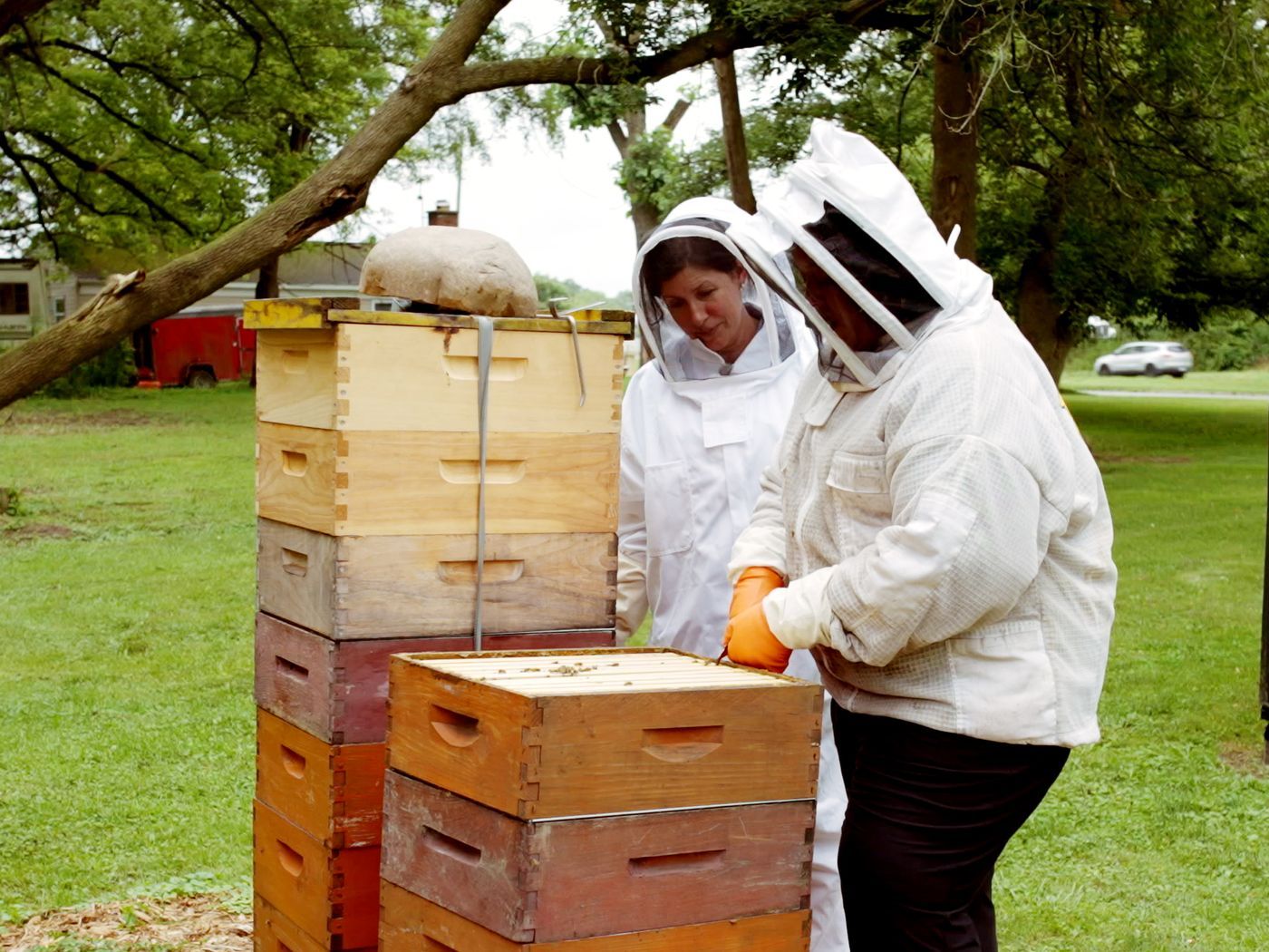 S23 E13: Jenn Nawada learn about beekeeping