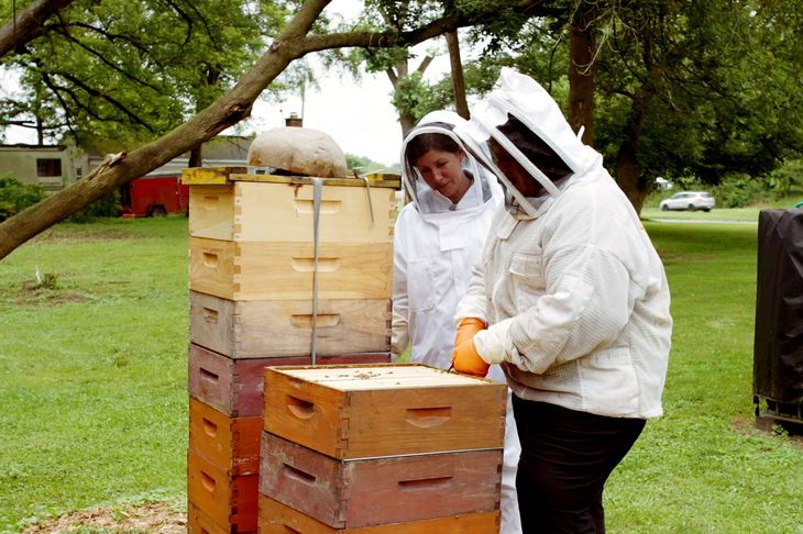 S23 E13: Jenn Nawada learn about beekeeping