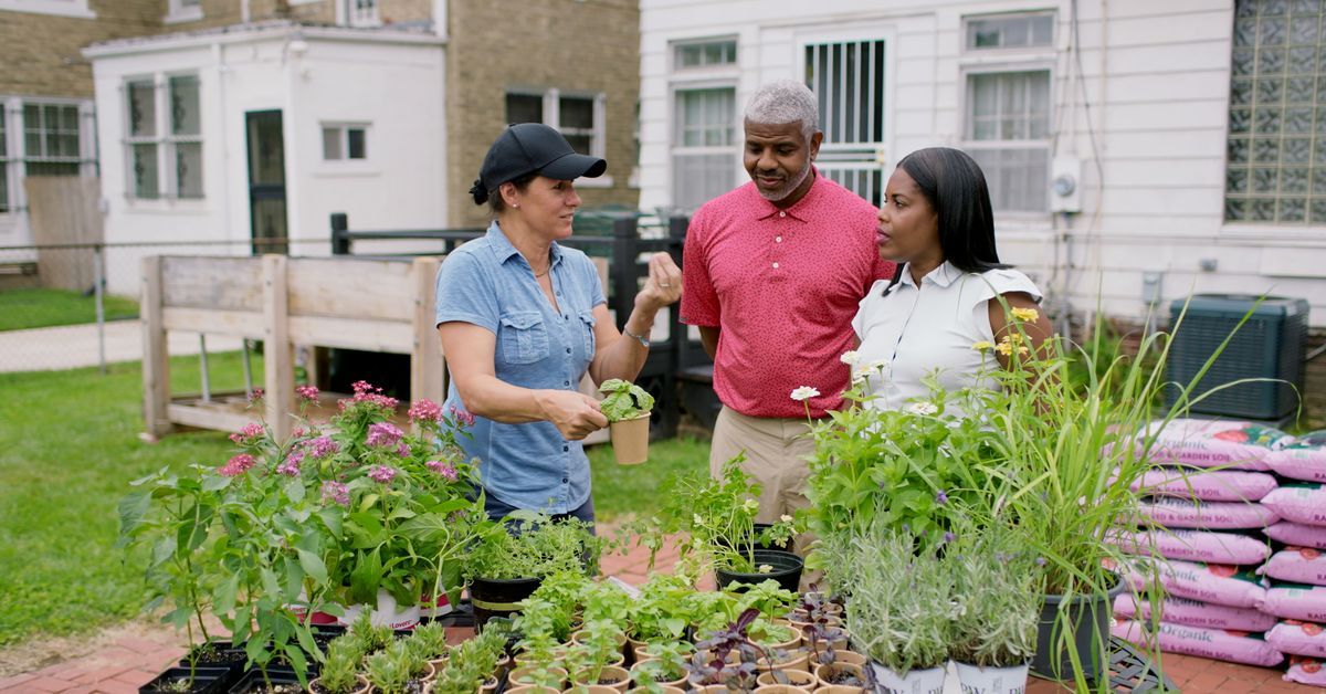 S23 E22: Jenn Nawada creates an elevated herb garden