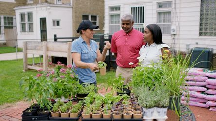 S23 E22: Jenn Nawada creates an elevated herb garden